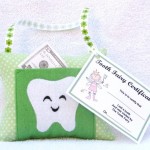 Tooth Fairy Pillow
