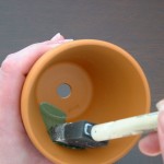 Paint inside of pot