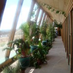 Plants inside the Earthship