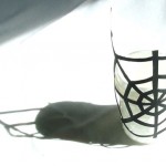 Completed webbily lantern