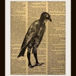 Crow Boy Art Print