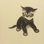 Butch the Tabby Kitten