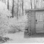 Cass's Cabin