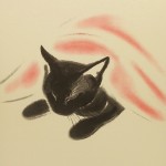 Cat Nap