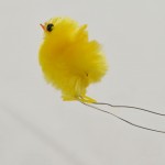 Wrap wire around leg of chick