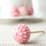 Strawberry Champagne Chocolate Lollipops