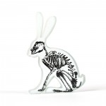 X Ray Hare Skeleton Printed Glass Sculpture